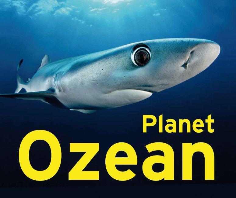 Planet Ozean Ausstellungskatalog
