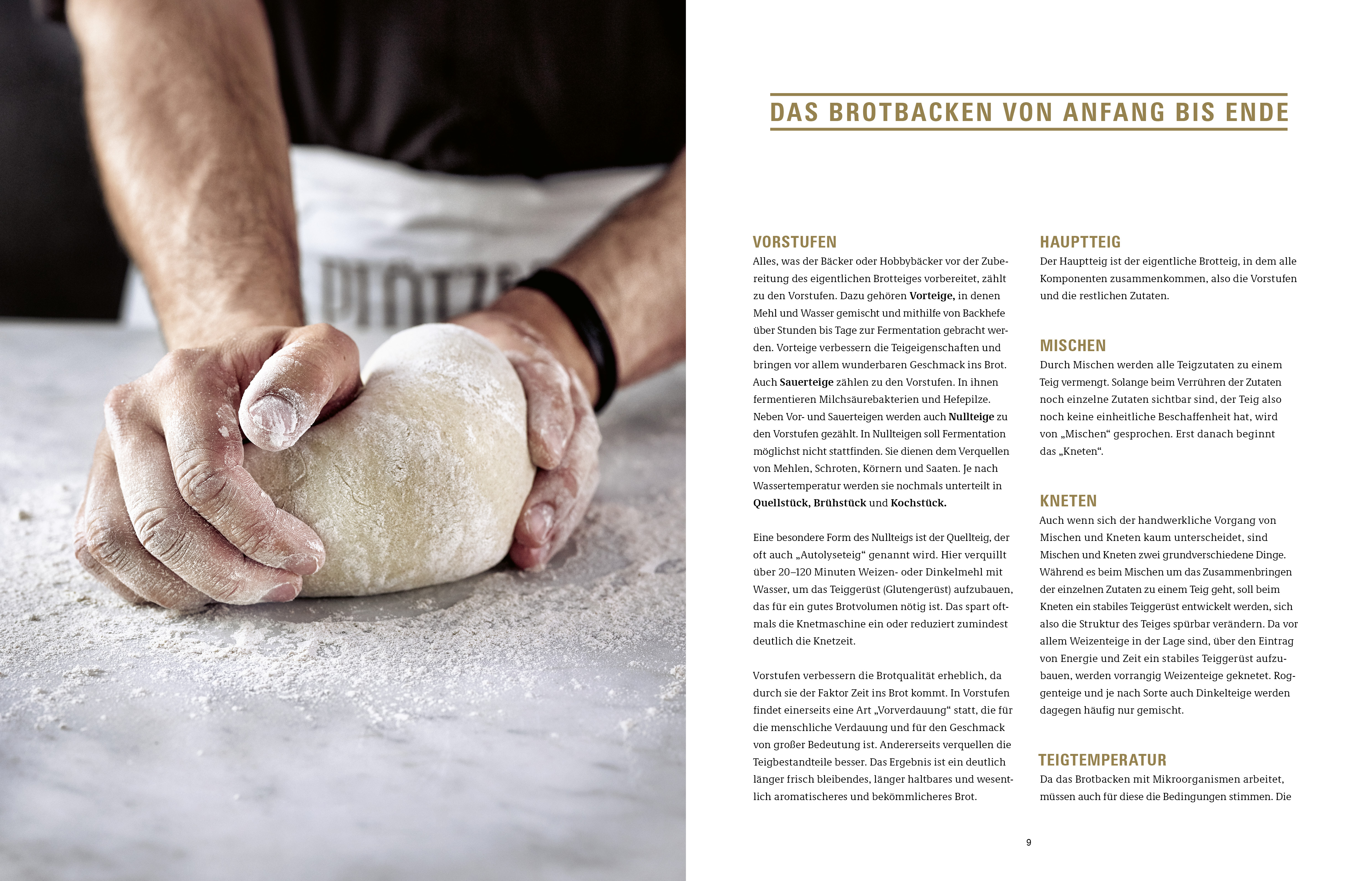 Krume und Kruste – Brot backen in Perfektion Schritt für Schritt: Rezepte, Tipps und Kniffe für mehr als 25 legendäre Brotrezepte