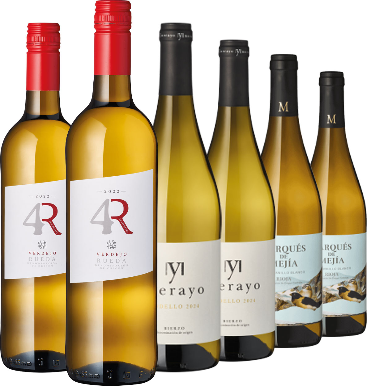Weinpaket 6er Set | Spaniens grüner Norden