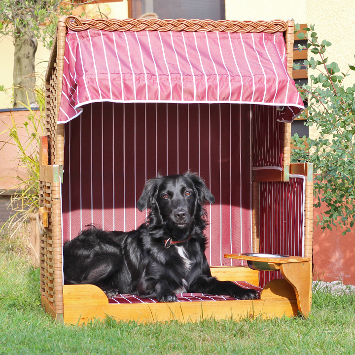 Strandkorb für Hunde